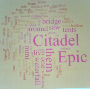 WordCloud Epic Citadel